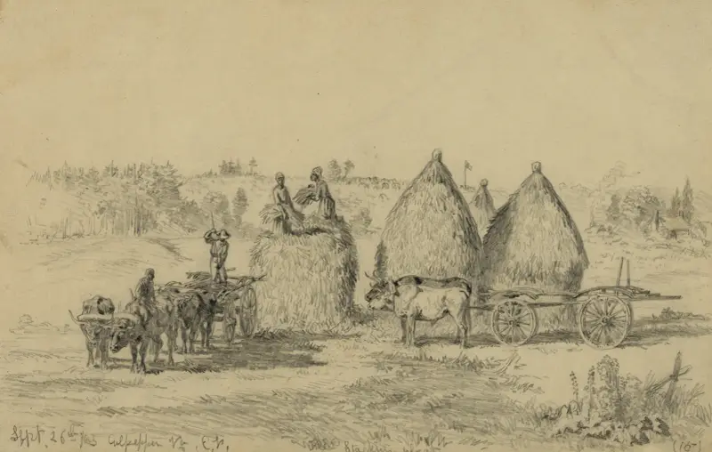 Culpepper, Va.–Stacking wheat av Edwin Forbes