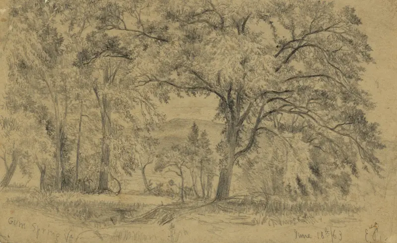 Gum Spring, Va. von Edwin Forbes