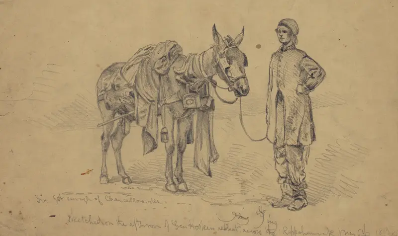 Just from Chancellorsville. An amateur quartermaster av Edwin Forbes
