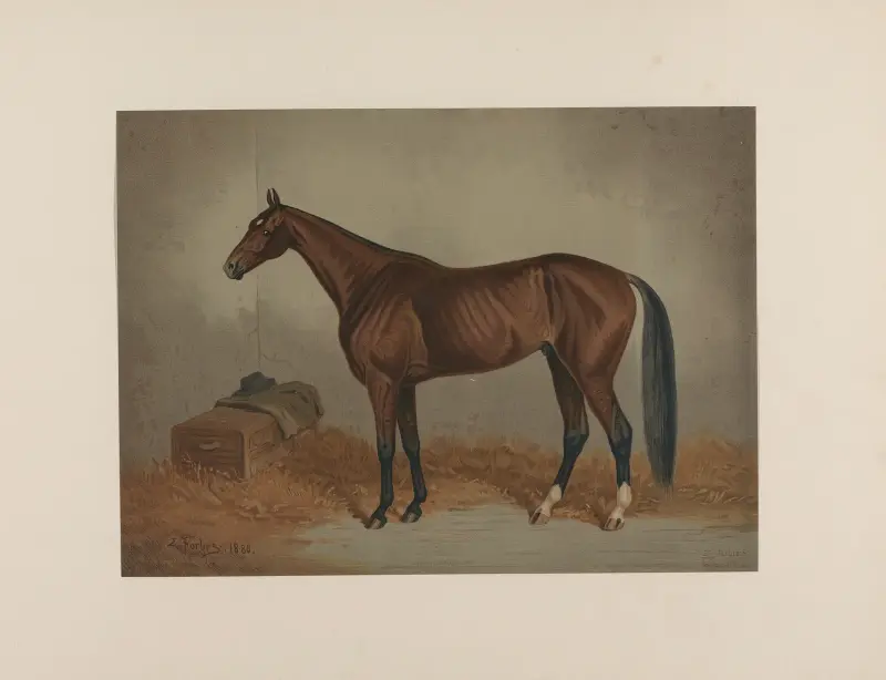 St Julien; The king of the trotting turf av Edwin Forbes