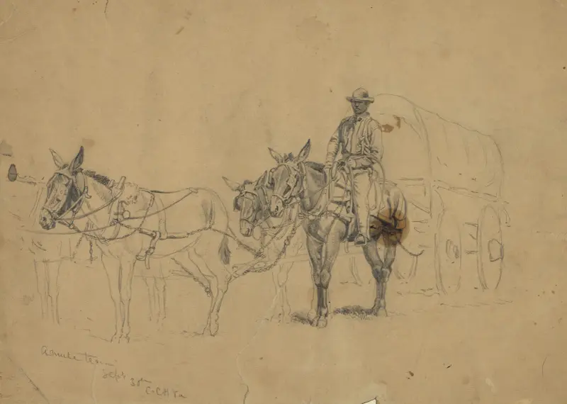 Studie av ett mulåsnspann med vagn och kusk av Edwin Forbes