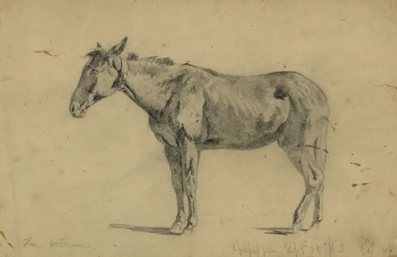 Der Veteran von Edwin Forbes