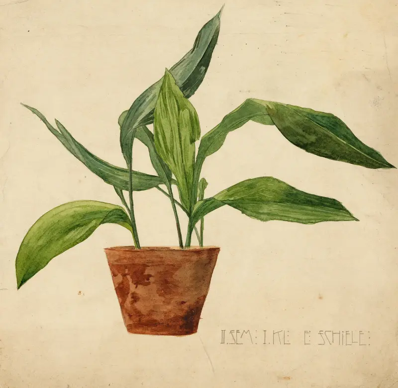 Květina v květináči (žákovská práce), Egon Schiele