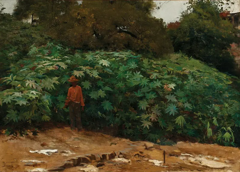 Mamoneiras – Morro de São Bento av Eliseu Visconti