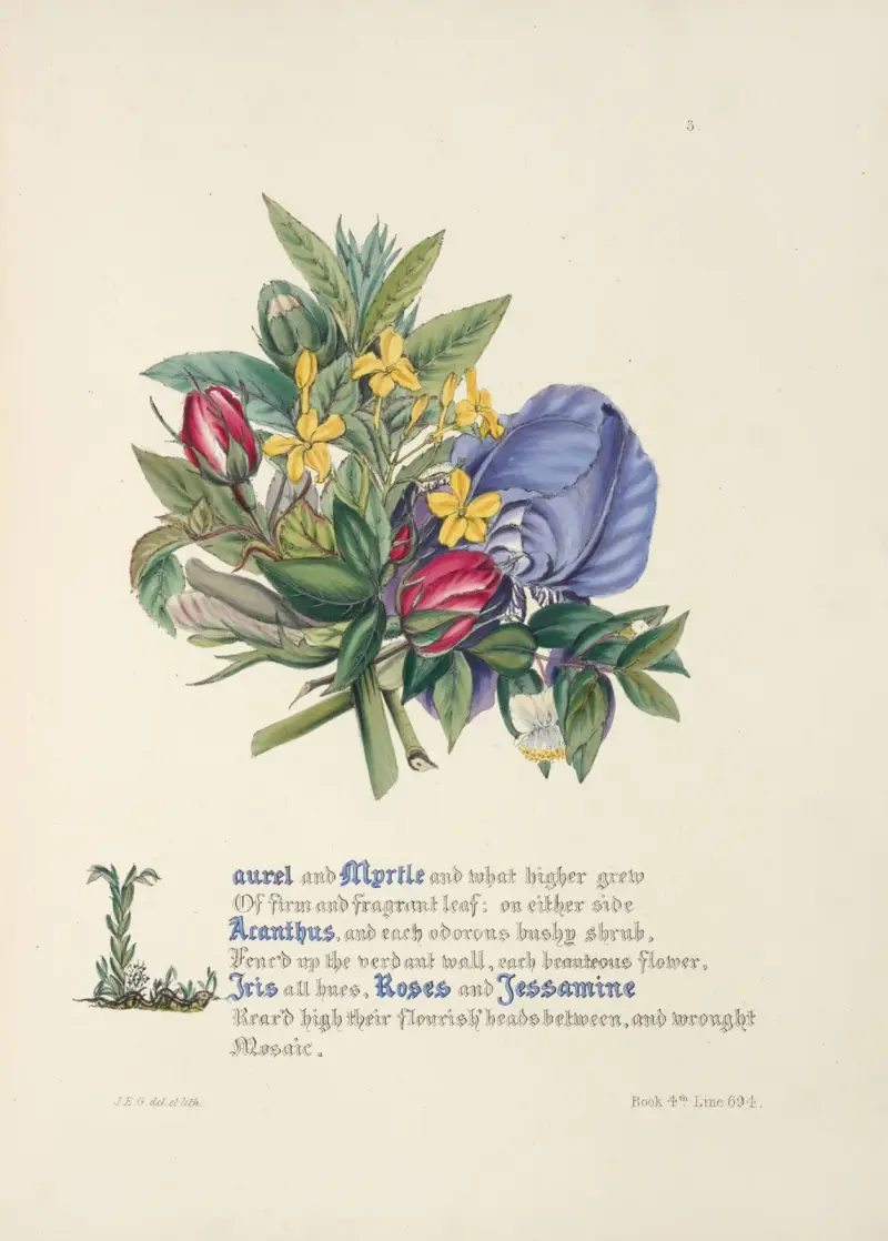 Laurel and myrtle av Jane Elizabeth Giraud