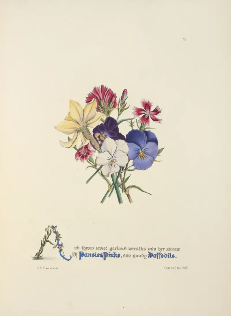 Pansies, pinks and daffodils av Jane Elizabeth Giraud