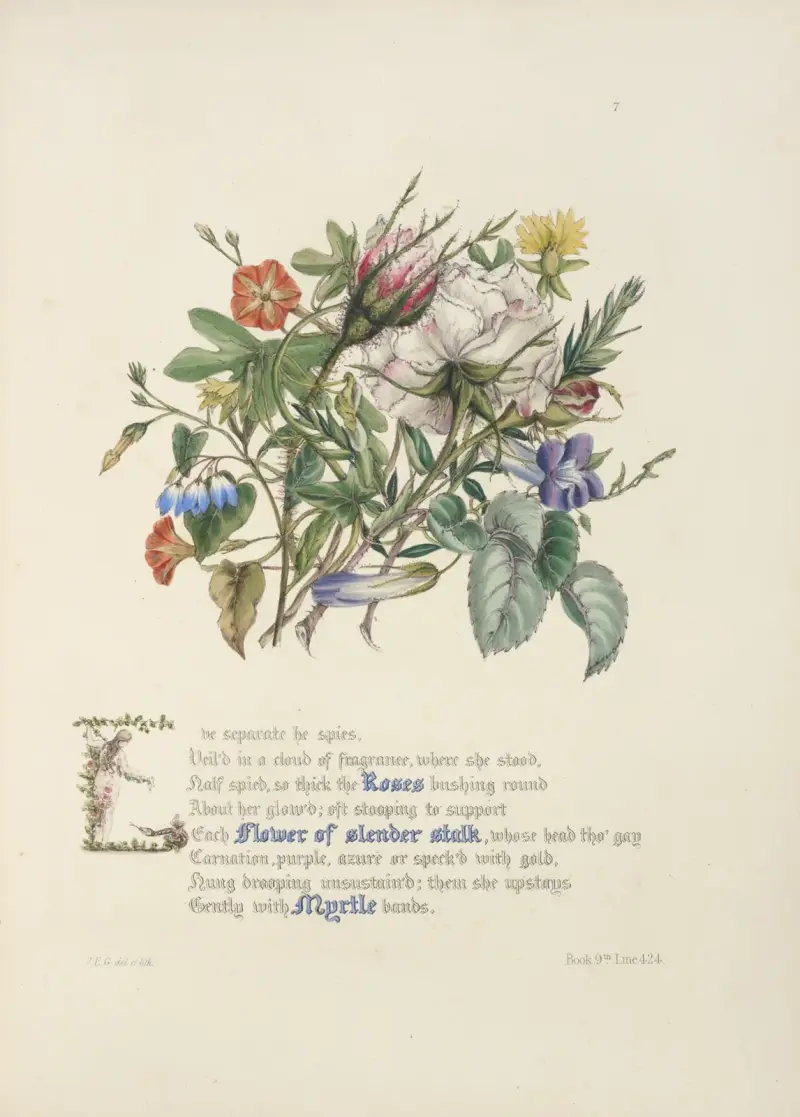 Rosen, Blüten an schlankem Stiel, Myrte von Jane Elizabeth Giraud