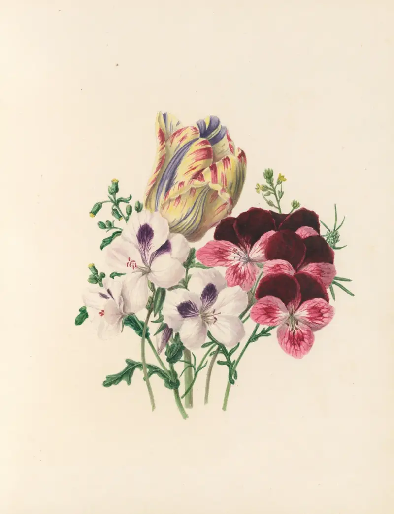 Blomsterfesten, plansch 3 av Jane Elizabeth Giraud