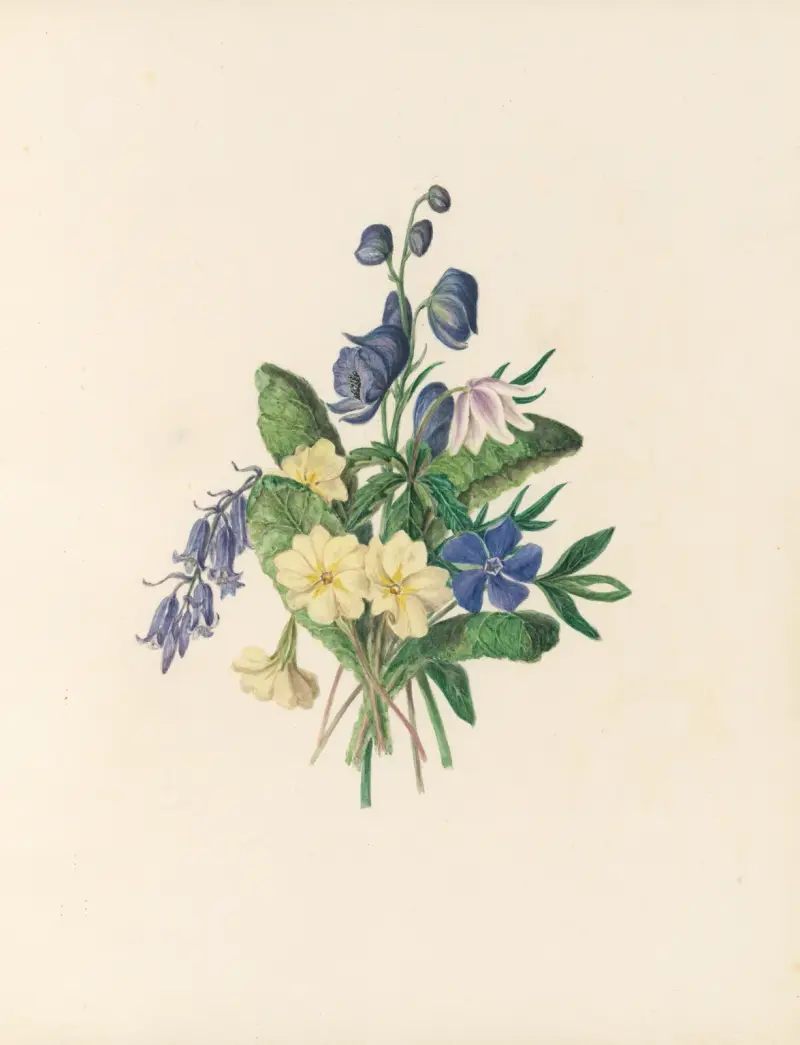 The fête of the flowers Pl.06 av Jane Elizabeth Giraud