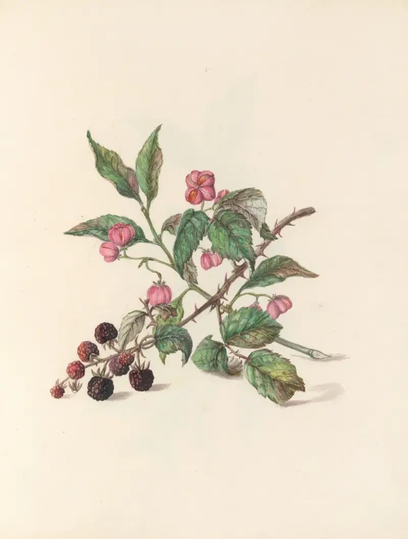 The fête of the flowers Pl.14 av Jane Elizabeth Giraud