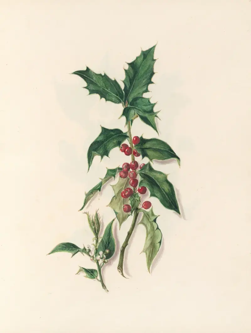 The fête of the flowers Pl.15 av Jane Elizabeth Giraud