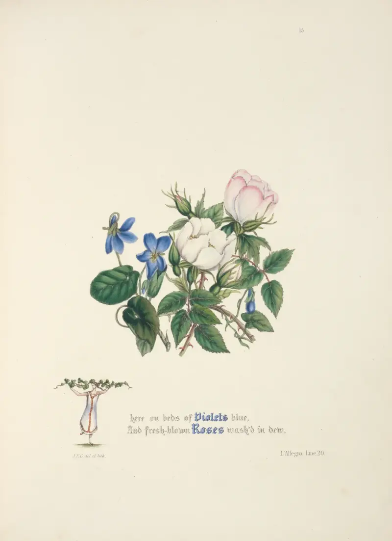 Veilchen und Rosen von Jane Elizabeth Giraud
