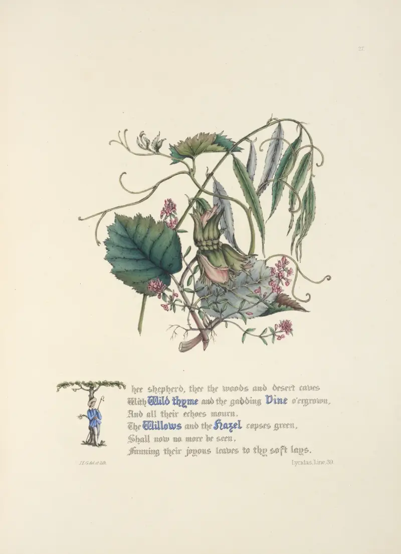 Wild Thyme, Vine, Willows and hazel av Jane Elizabeth Giraud