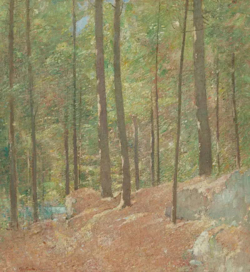 V borovém lese, Emil Carlsen