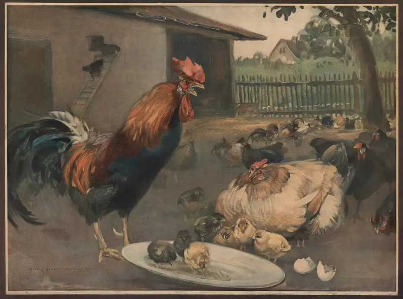Kohout, slepice a kuřátka, Emil Schmidt