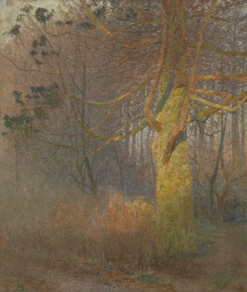 Drzewo w słońcu, Emile Claus