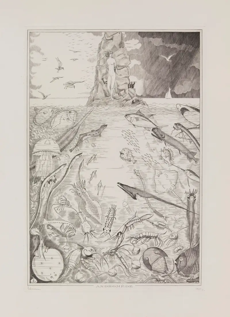 Andromeda von Jean-Émile Laboureur