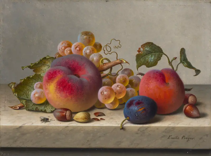 Stilleben med persikor, plommon, vindruvor och hasselnötter på ett bord av Emilie Preyer