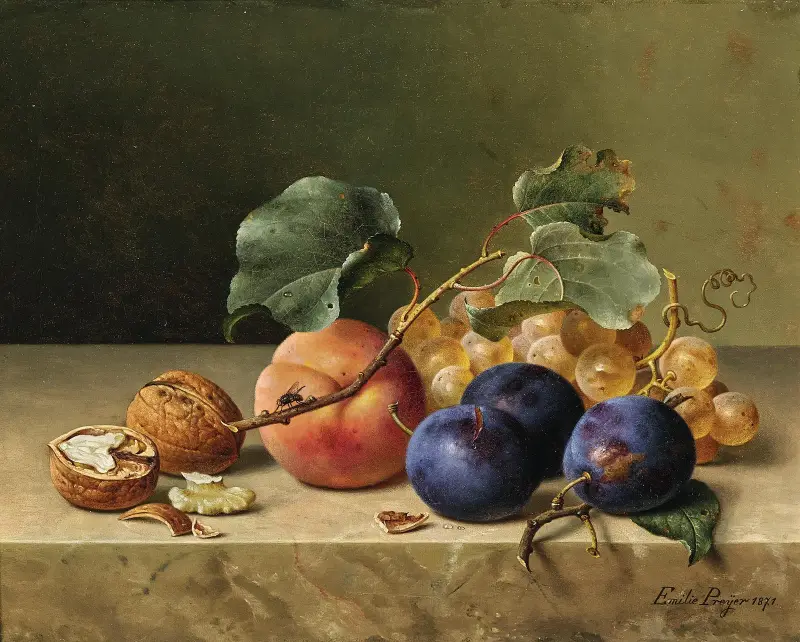 Still Life with Two Walnuts, Plums, Grapes, a Peach on a Branch and a Fly av Emilie Preyer