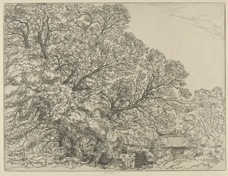 Alna Willows av Ernest Haskell
