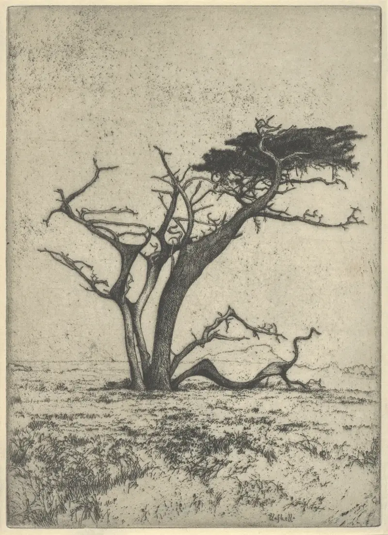 Antlers av Ernest Haskell