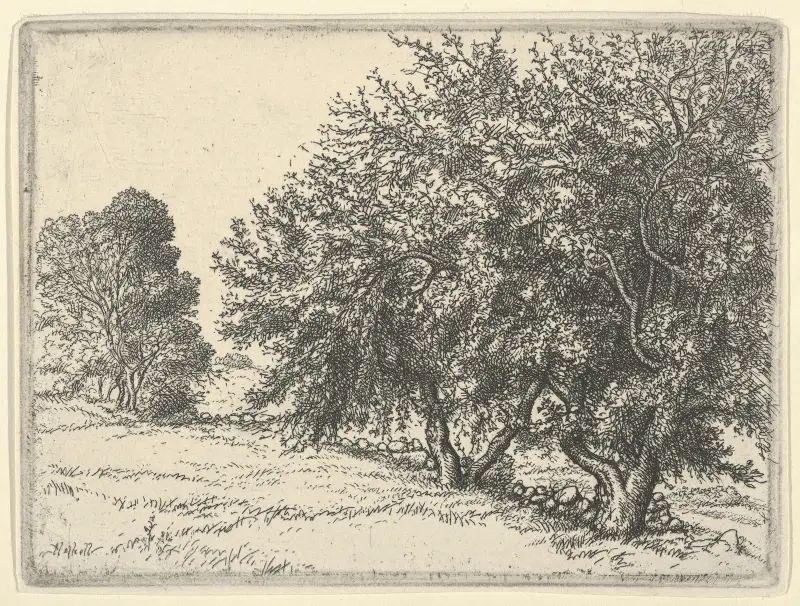 Äppelträd av Ernest Haskell