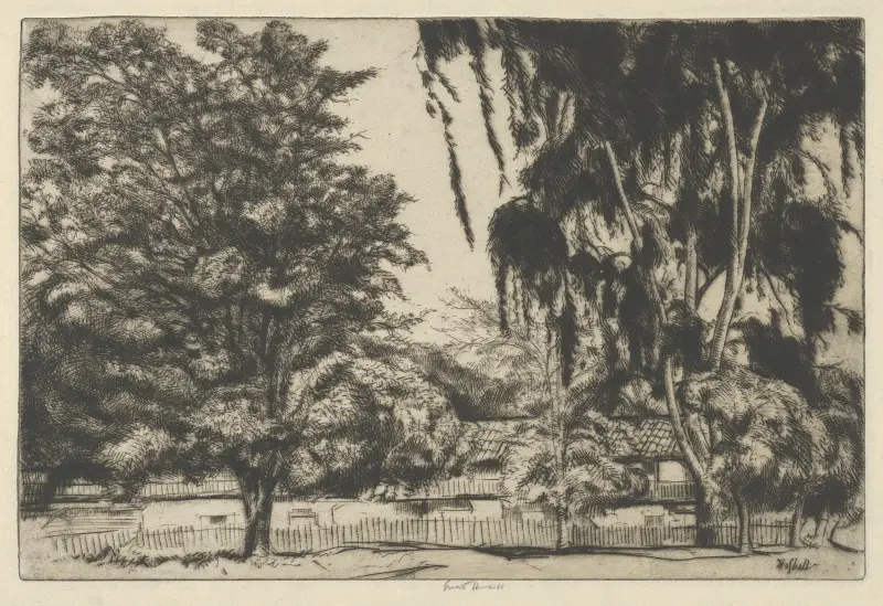 Castro House av Ernest Haskell