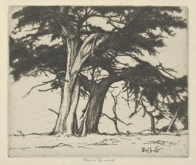 Companions av Ernest Haskell