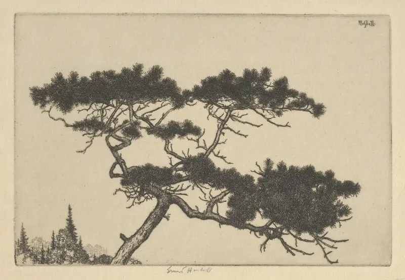 Crippled Pine av Ernest Haskell