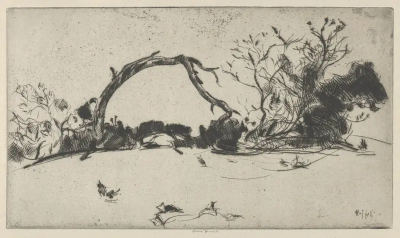 Studie cypřiše č. 1, Ernest Haskell