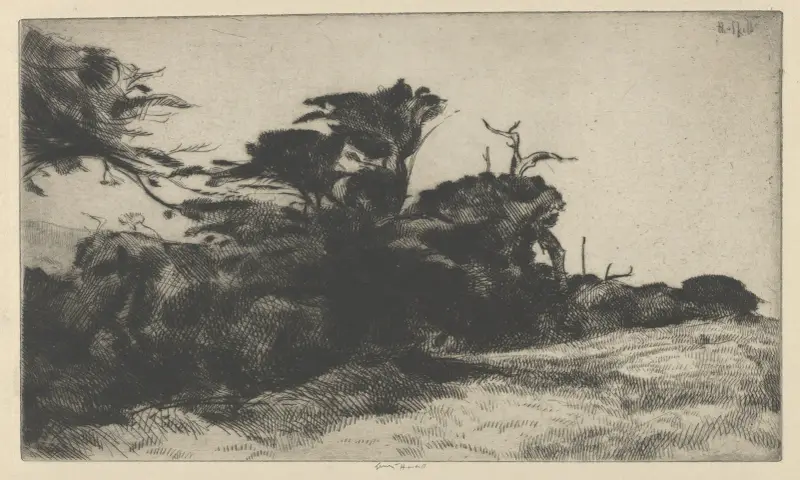 Zypressenstudie Nr. 2 von Ernest Haskell