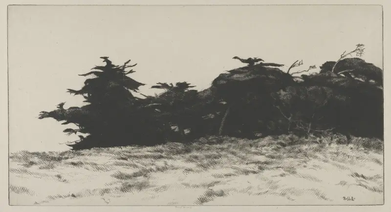 Cypress Wall av Ernest Haskell