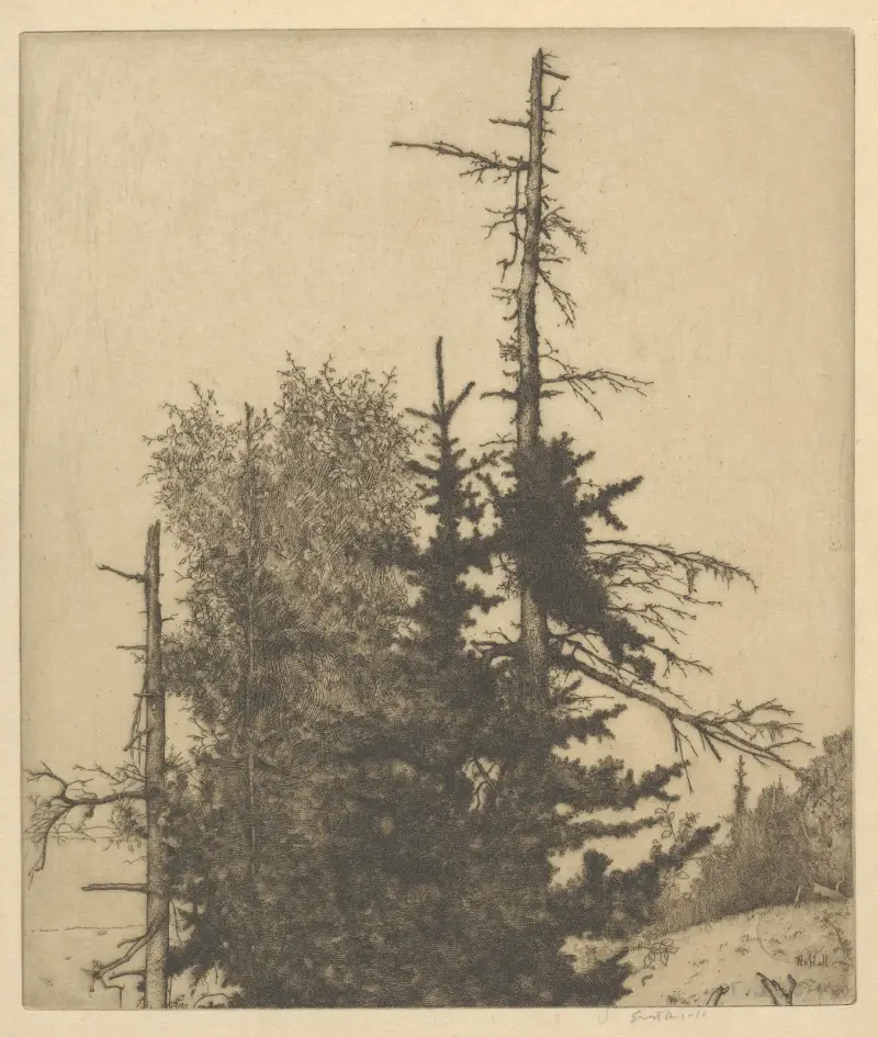 Mrtvé vrcholy, Ernest Haskell