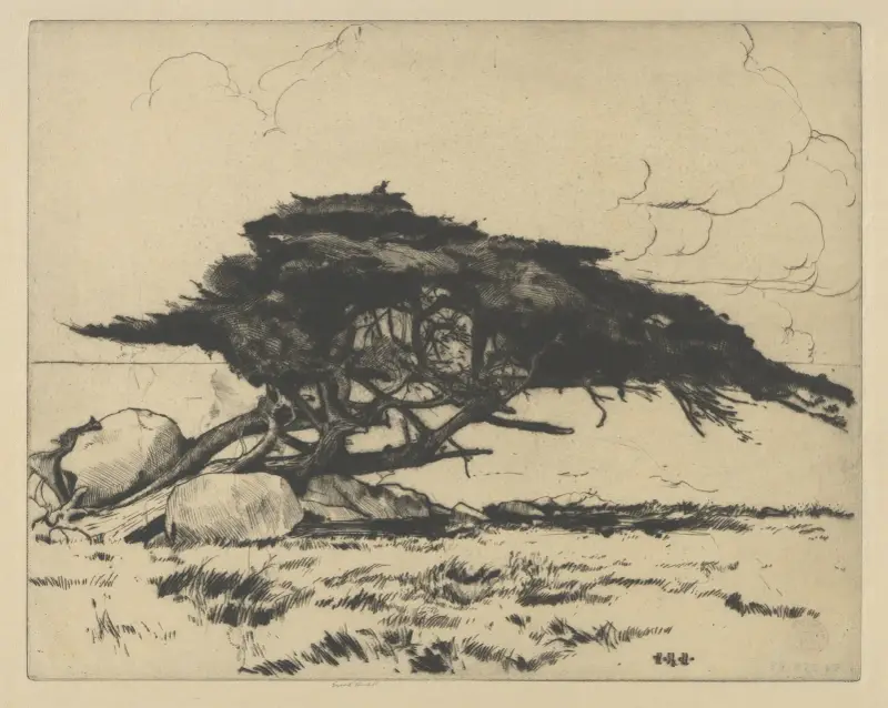 Delfín, Ernest Haskell