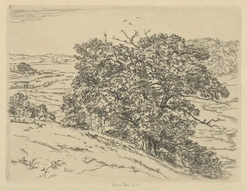 Dromore Oaks, Ernest Haskell