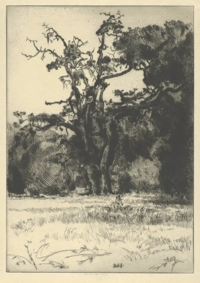 Umírající bílý dub, Ernest Haskell