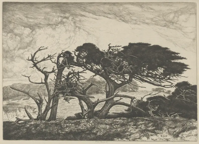 El Torro, Ernest Haskell