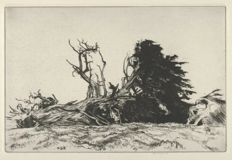 Fallen Centuries av Ernest Haskell
