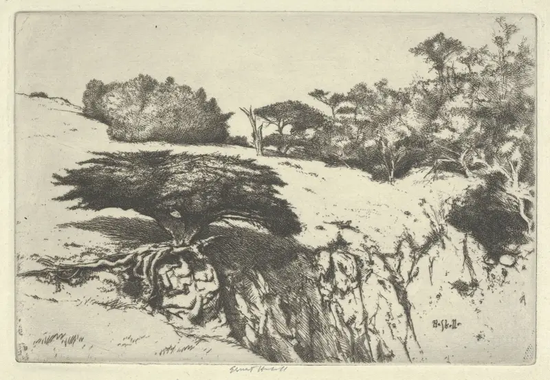 Fläktbusken och hennes kanjon av Ernest Haskell