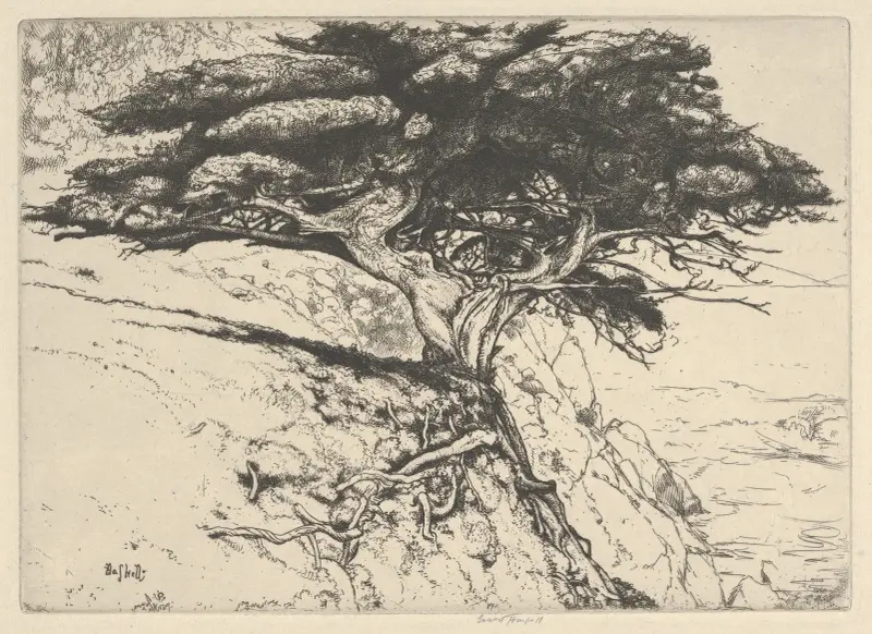 Fan Tree av Ernest Haskell