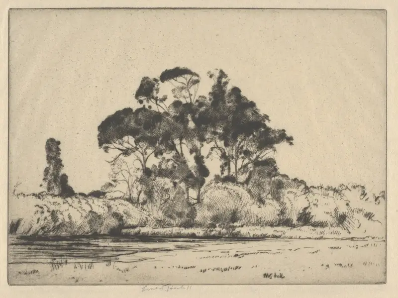 Feathery Trees av Ernest Haskell