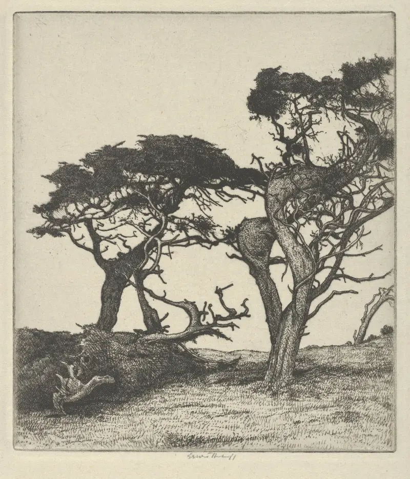 Fragments of the Ostrich av Ernest Haskell