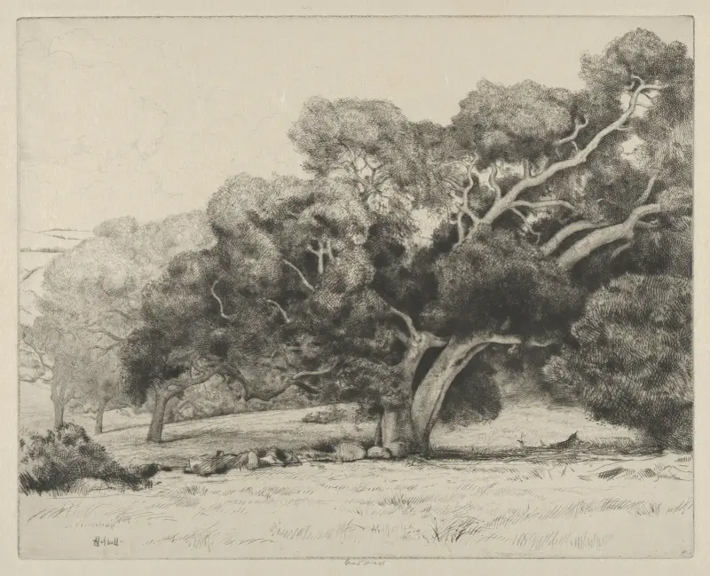 Large Live Oak av Ernest Haskell