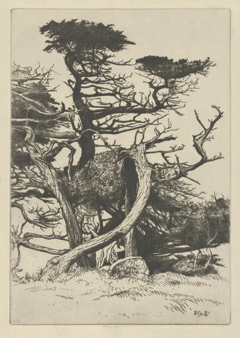 Line of Beauty av Ernest Haskell