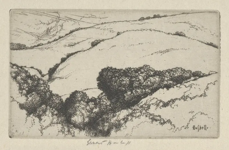 Lilla arroyo av Ernest Haskell