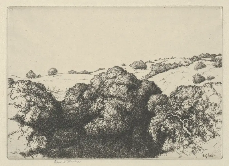 Live Oak Shadows av Ernest Haskell