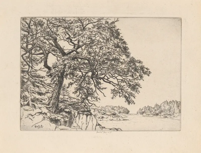 Marin’s Oak av Ernest Haskell