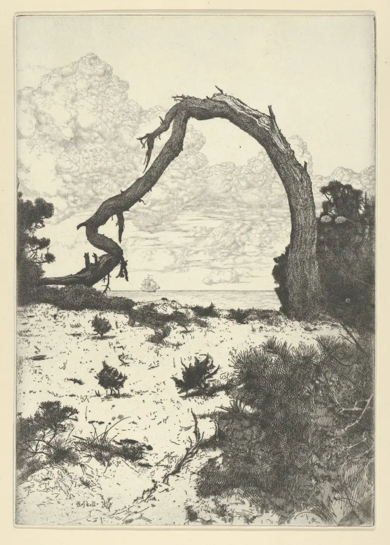 Pine Arch, Ernest Haskell