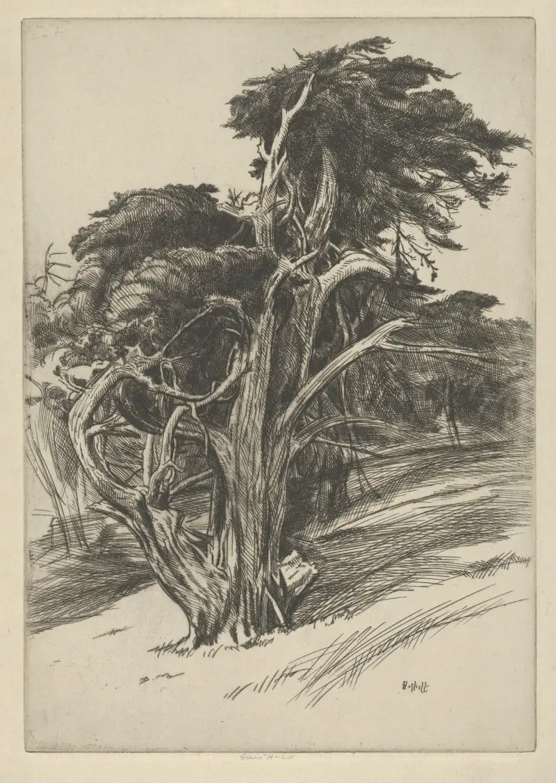 Plume of Balboa av Ernest Haskell