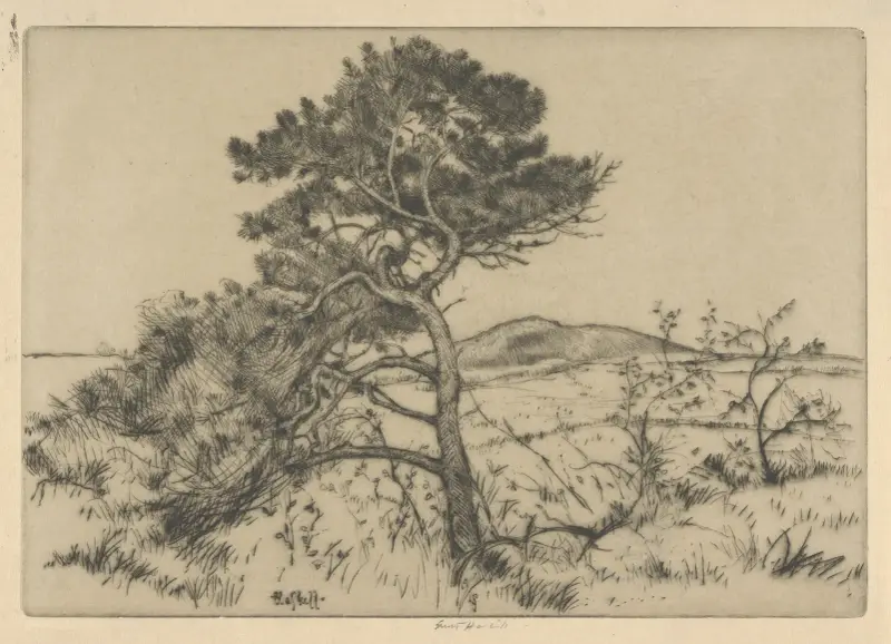 Popham Pines av Ernest Haskell